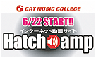 Hatch amp