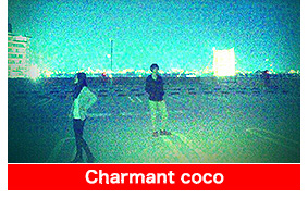 Charmant coco