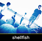 shellfish