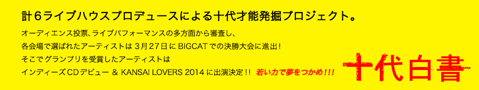 About: 十代白書とは