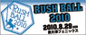 RUSH BALL 2010
